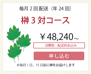 毎月2回配送「榊3対コース」
